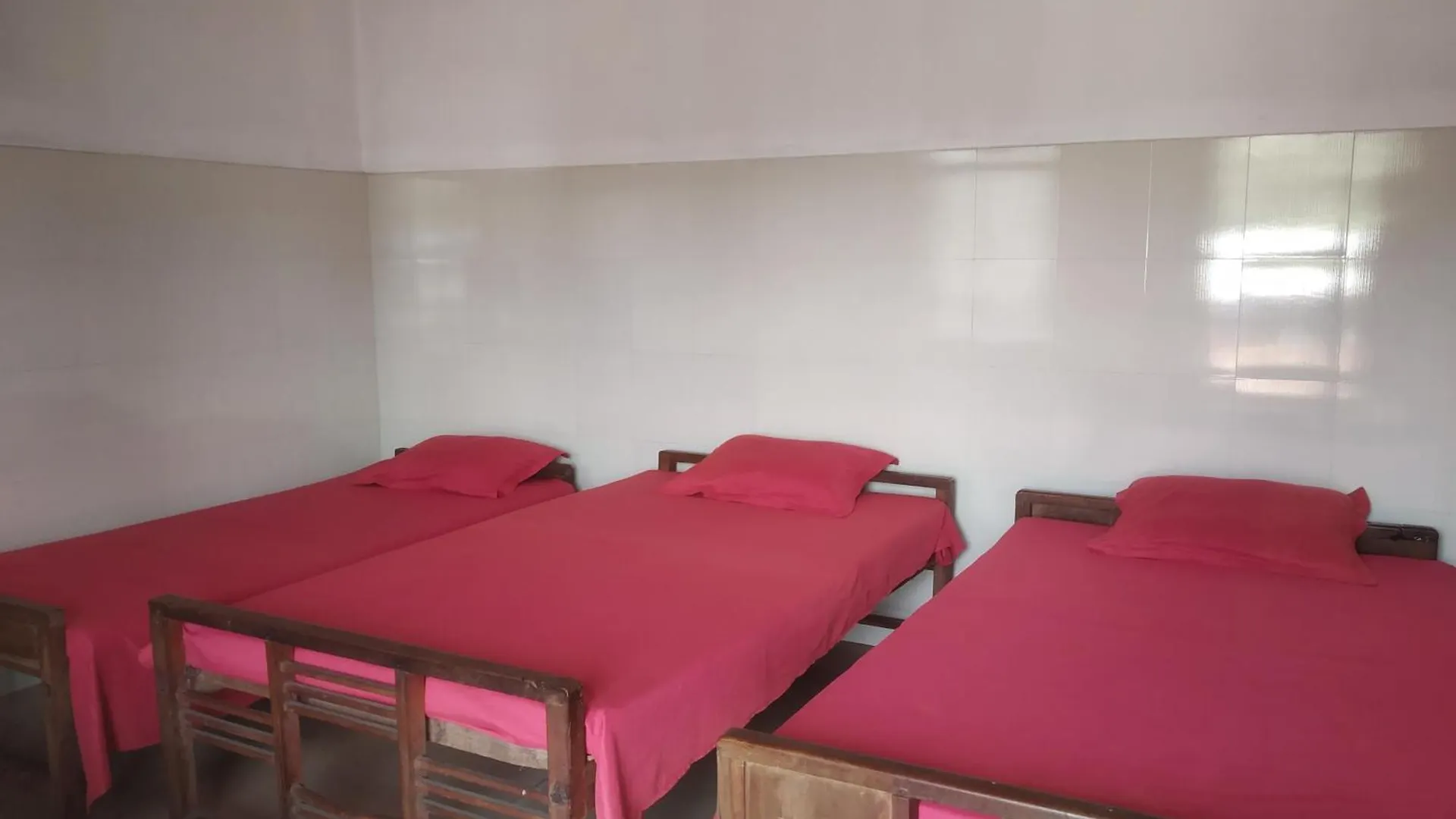 Inn Sarigama Tourist Home Kochi