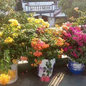 Heavenly Alloggio in famiglia